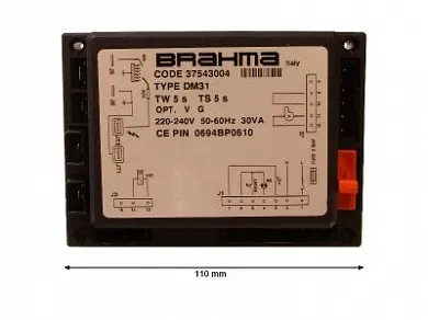 4161.004 Блок управления Brahma DM31